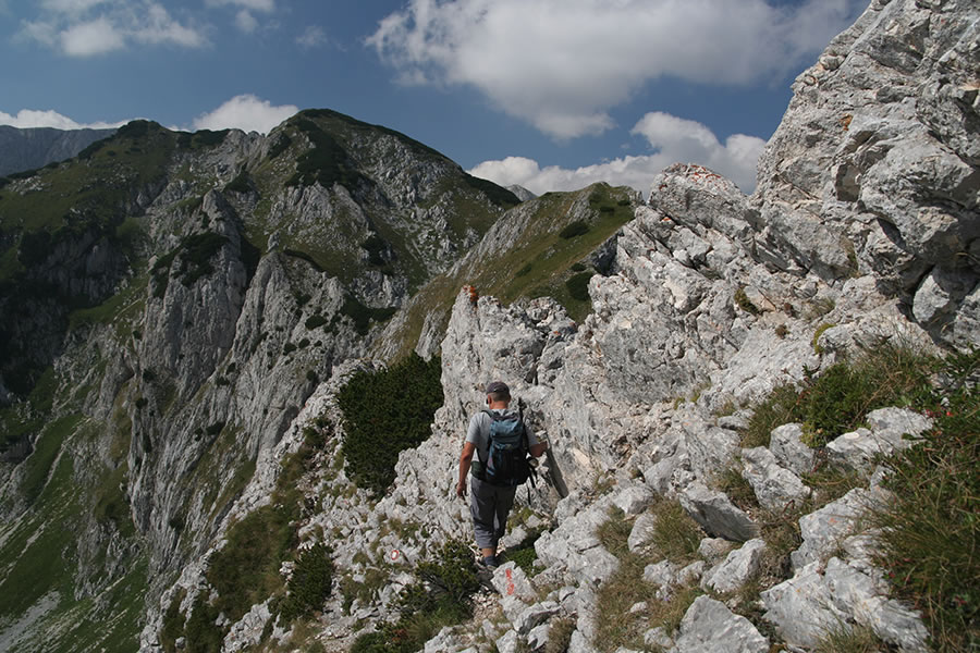 Prečenje