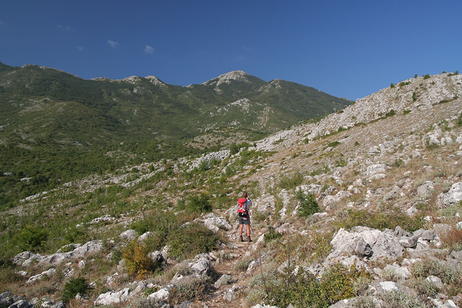 Rumija