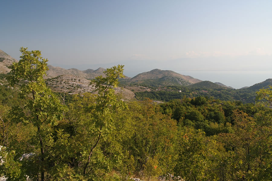 Gornja Briska
