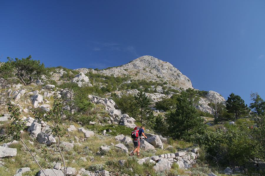 Proti Planinskemu domu Za Vratlom