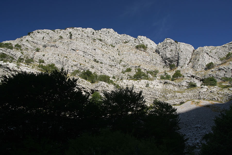 K. Kabao