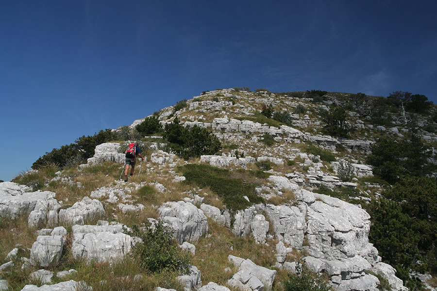 Proti vrhu