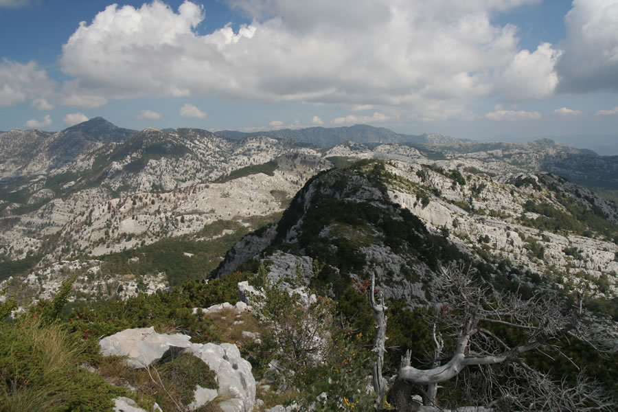 Pogorje Orjena
