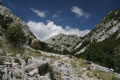 Vratlo