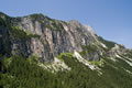 Creston Popera