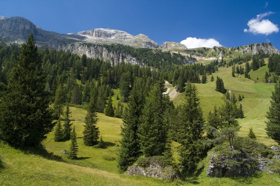 Piz da Lech s prelaza Campolongo