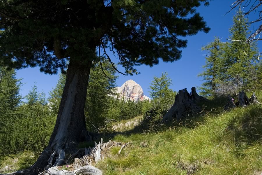 Croda Rossa