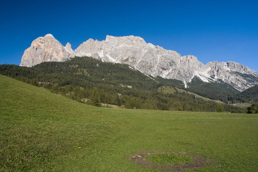 Tofane