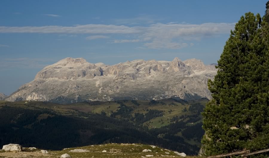 Sella