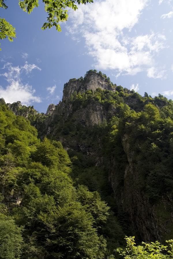 Nad sotesko