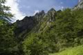 Pinei