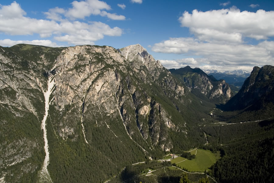 M. Specie (Strudlkopf)