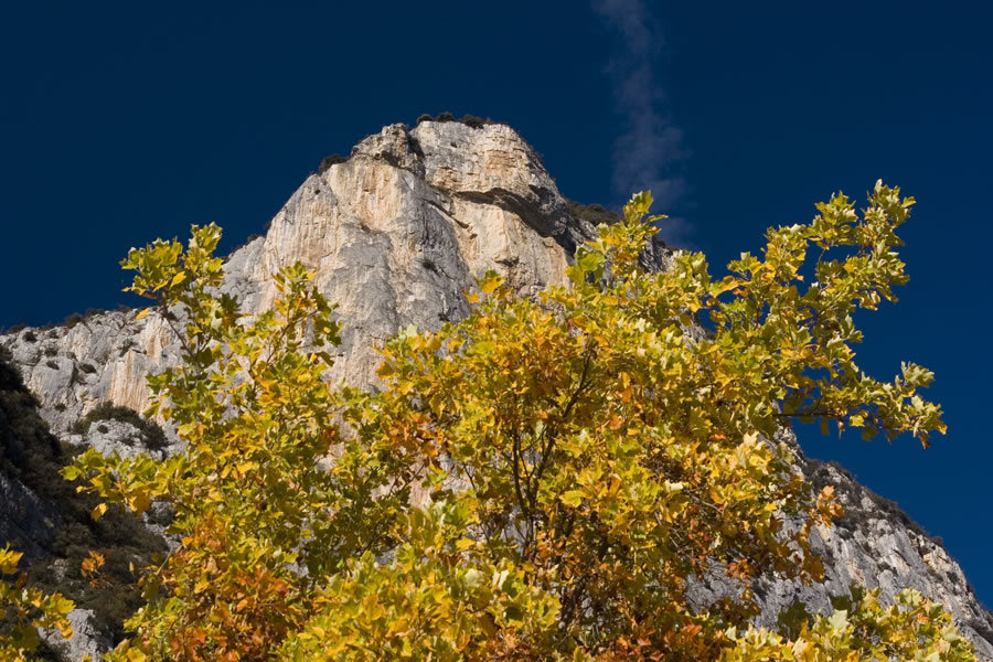M. Garzolet v jesenski preobleki