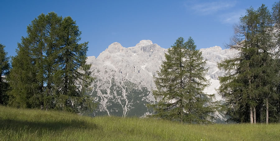 Lastron dei Scarperi (Schusterplatte)