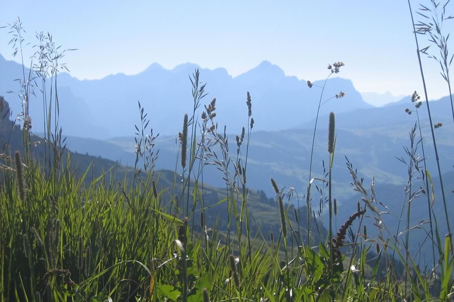 Nad Passo Gardena