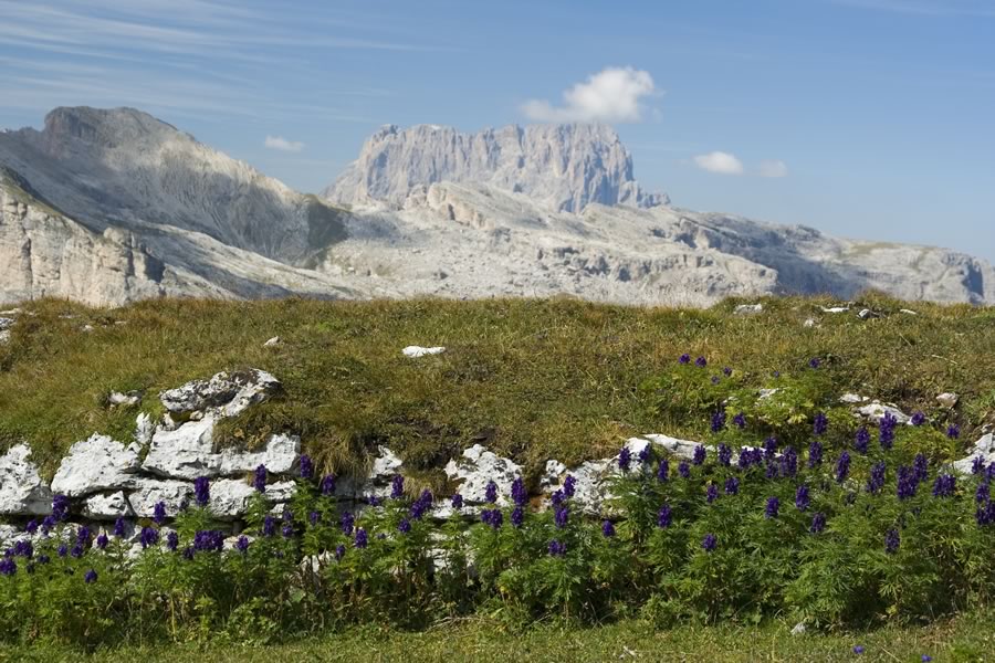 Sassolungo