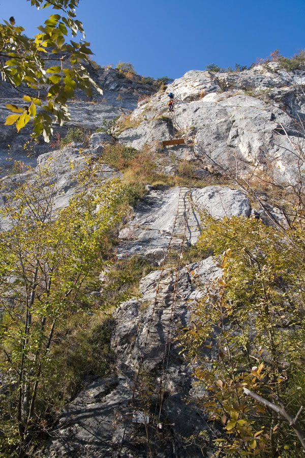 Le po trije na enkrat!