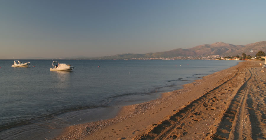 Jutro pri Maratonskem polju