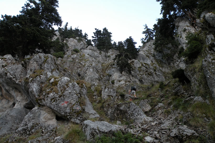 Pot Karagiannis