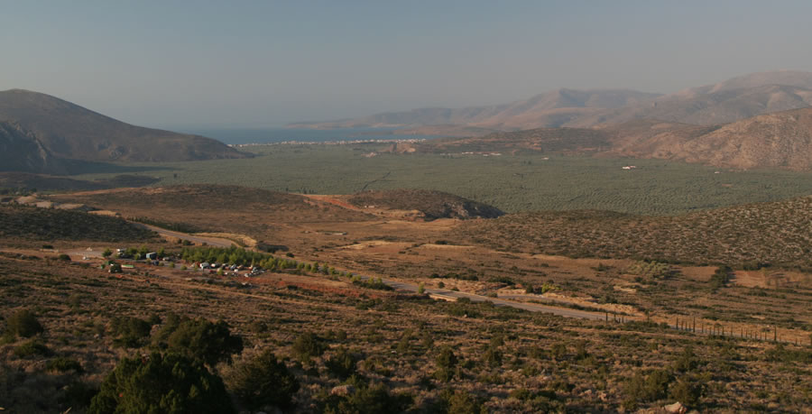 Oljčni nasadi nad Iteo