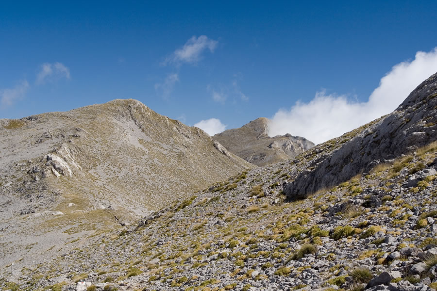 Sedelce pod Touborachijem