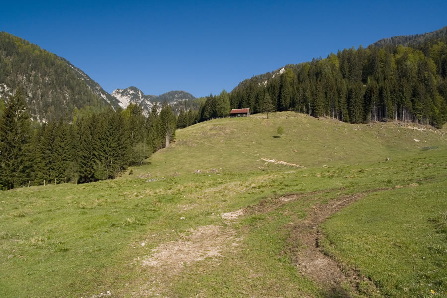 Rif. Forestale di Ciurciule