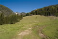 Rif. Forestale di Ciurciule