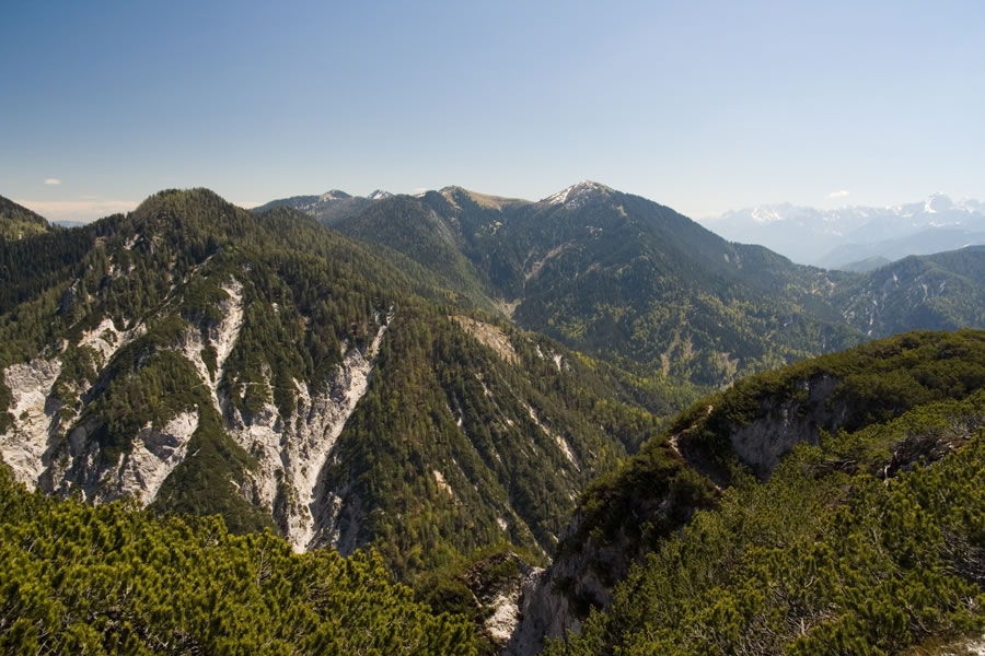 Cima Bella, M. Cocco
