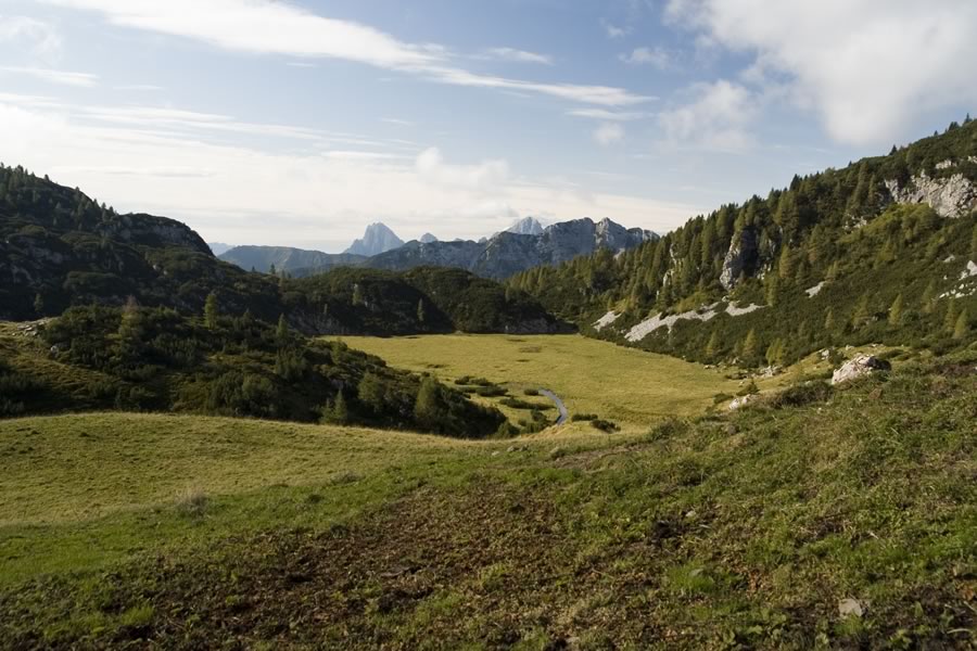 Creta Grauzaria, Monte Sernio