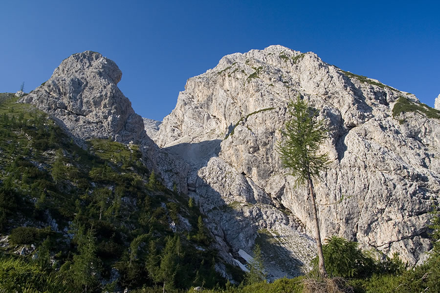 Torre della Meda, Cima Savalon