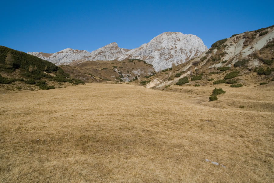 M. Lastroni