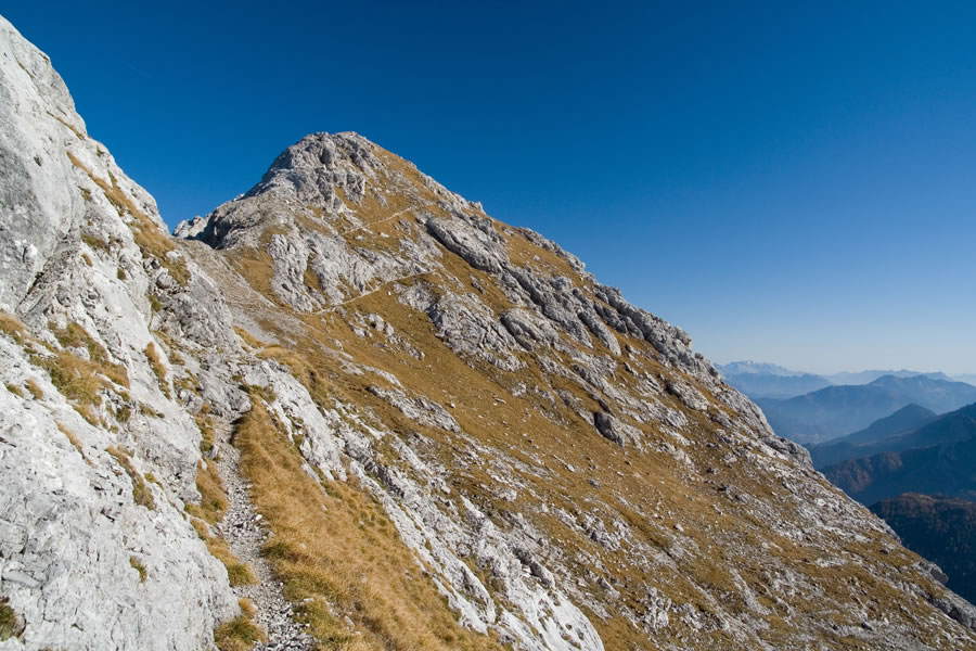 Vrh