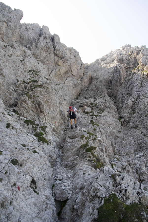 Proti M. Rinaldu
