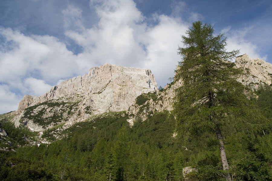 Veliki Koritnik