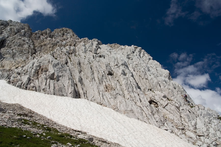 Vršni del
