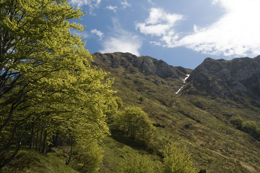 Pristopna grapa proti M. Valcaldi