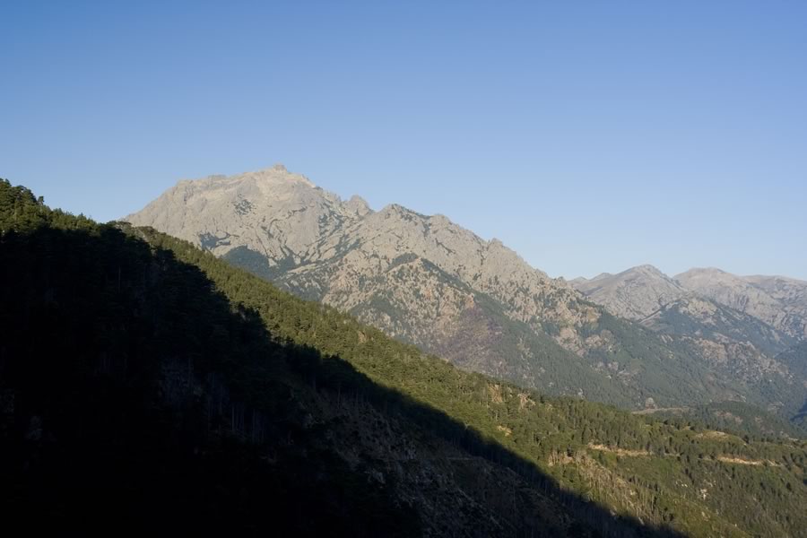 Monte d'Oro