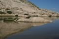 Otoček sredi jezera, gori pa kravica