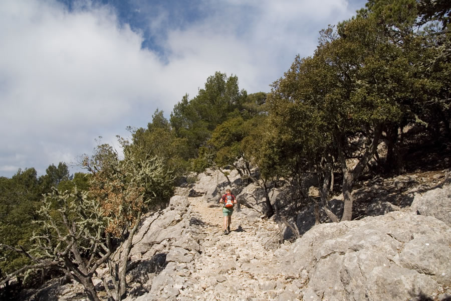 Pot Ludwiga Salvatorja