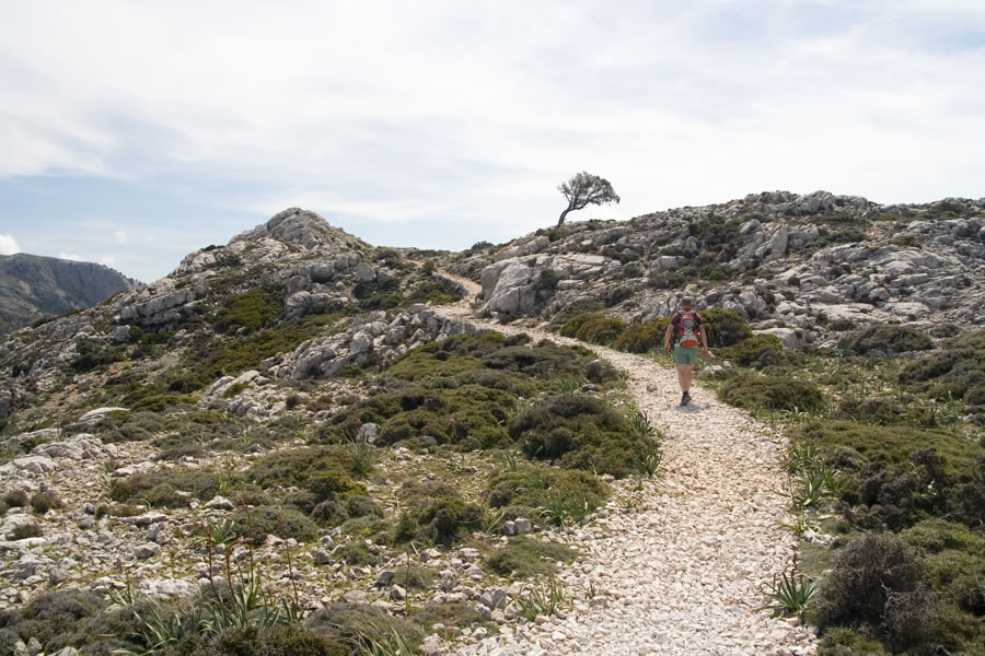 Pot Ludwiga Salvatorja