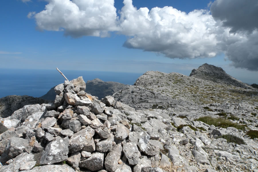 Massanella