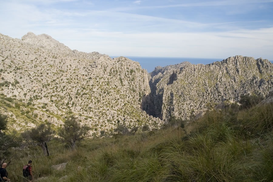 Torrent de Pareis