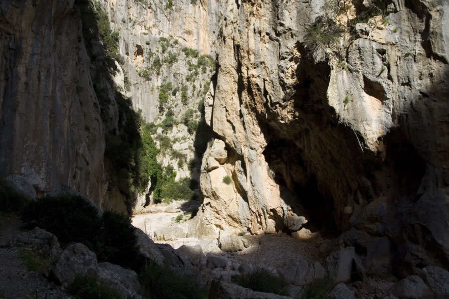 Torrent de Lluc