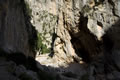 Torrent de Lluc