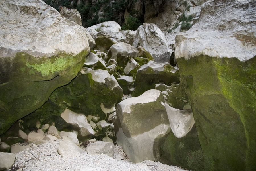 Torrent de Gorg Blau