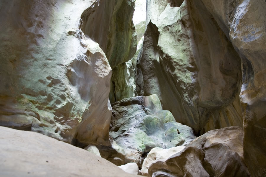 Torrent de Gorg Blau