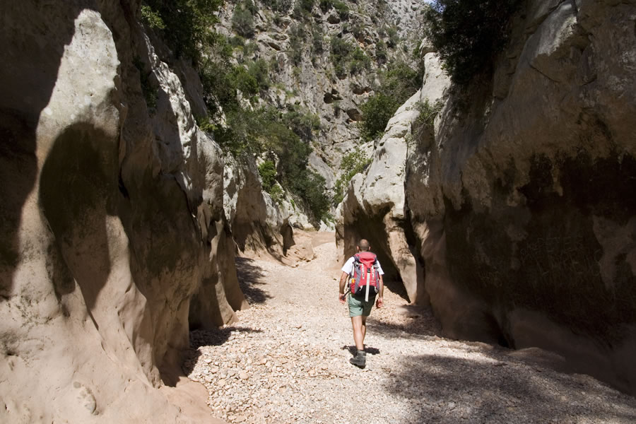 Torrent de Pareis