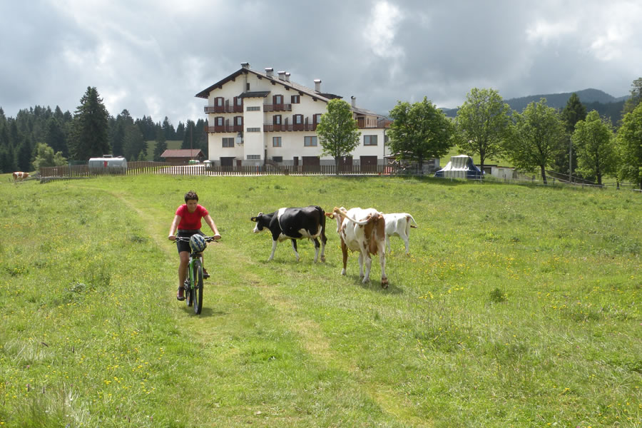 Albergo Forte Cherle