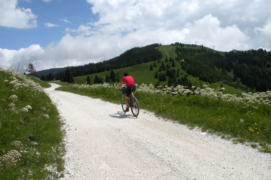 Pod Sommom Altom, Plaut