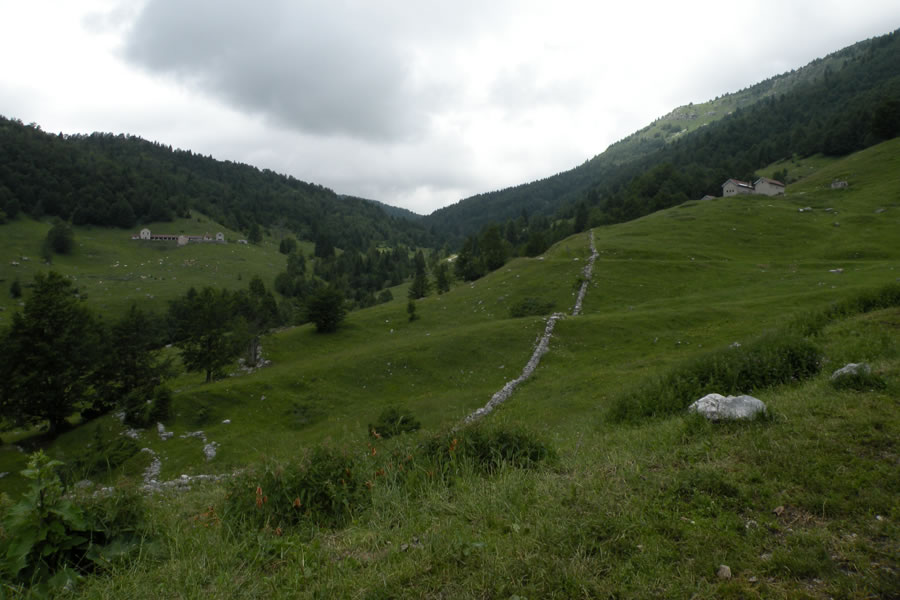 Planini Campoluzzo inferiore in Campo Azzaron